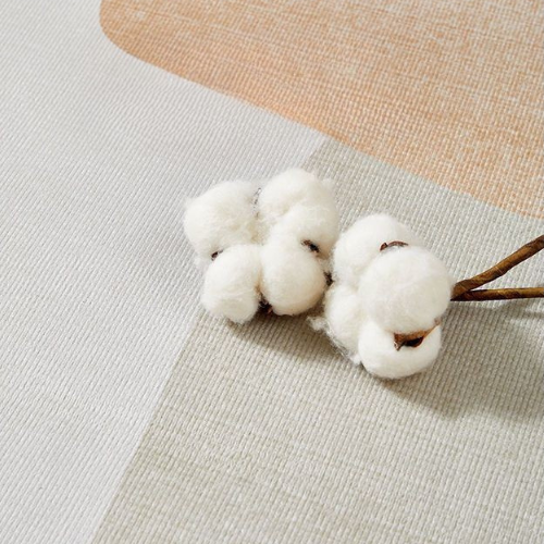 Plush Velvet Smooth Surface Rug Modern Carpet